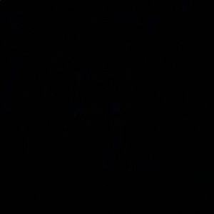 Meet your Posher, Avery